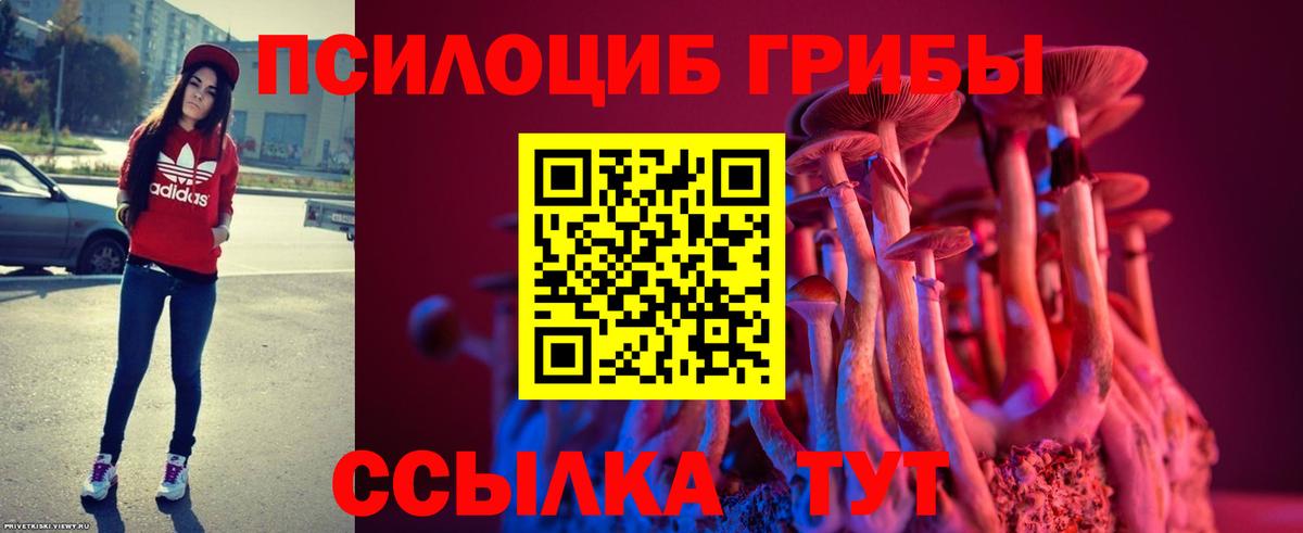 Галлюциногенные грибы Cubensis  Галлюциногенные грибы мухоморы  где купить наркотик  Вход с VPN  Карталы 